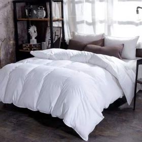 Down Duvet, Winter Duvet, Goose Down Duvet Core, Air Conditioner (Option: White-180x220cm-4)